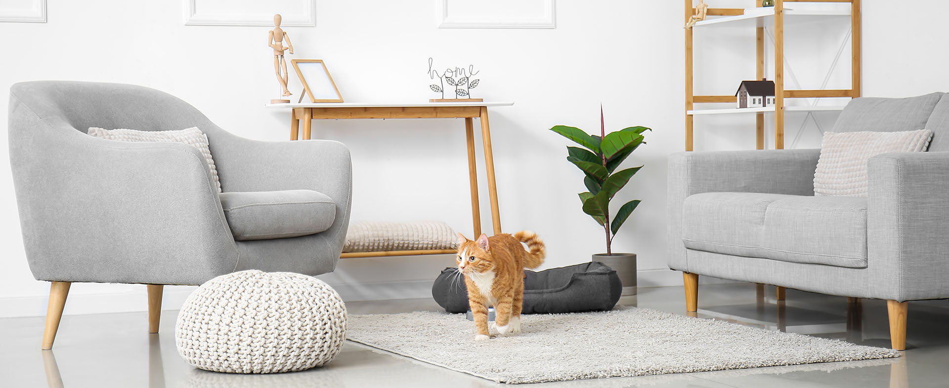 einrichtungsbeispiel apartment mit sessel, teppich und couch